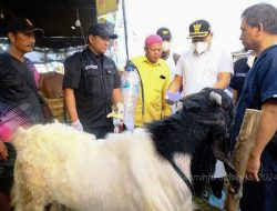 Plt Bupati Sidoarjo H Subandi Pastikan Hewan Kurban Sehat dan Aman